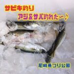 サビキ釣りでアジ＆サバ♪ 尼崎魚つり公園