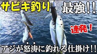 誰でも簡単にサビキ釣りでアジが爆釣れる最強の仕掛け！もはやエサではないかこのサビキ編！【最強のアジ釣り】新春サビキ祭りで５種目達成！