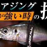 【釣果に差が出る】冬の強風アジング、攻略テクニック！ / 石川仁希