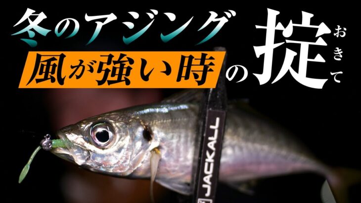 【釣果に差が出る】冬の強風アジング、攻略テクニック！ / 石川仁希