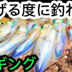 【エギング】投げる度に釣れる。使ったのはコレ(後編)