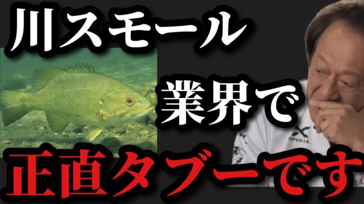 【村田基】川スモールマウスバスは釣り業界ではタブーです【村田基切り抜き】