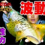 【エギング】低活性の冬イカは波動で釣る！パタパタの真骨頂！