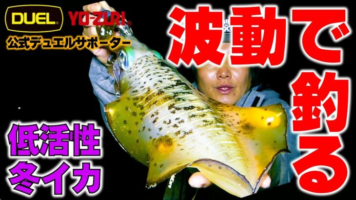 【エギング】低活性の冬イカは波動で釣る！パタパタの真骨頂！