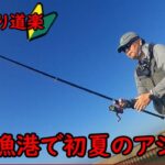 【つり道楽】飯岡漁港でアジ狙い、小アジだが釣れて楽しい【つりチャレンジ】