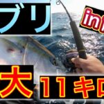 衝撃！デカ寒ブリと怪物に遭遇！冬の日本海ででブリジギングにチャレンジ！