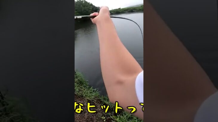 釣り上げた直後のスピナベを池ポチャしたら・・・ #バス釣り