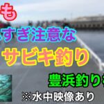 冬でも釣れすぎ注意なサビキ釣り 豊浜釣り桟橋