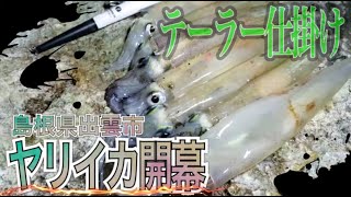 【開幕】ヤリイカ釣りに行ってみたら爆釣だったｗｗ