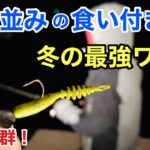 極寒の夜釣りでも魚が連発する神ワームで釣りしたら楽しすぎた