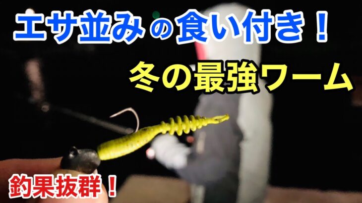 極寒の夜釣りでも魚が連発する神ワームで釣りしたら楽しすぎた