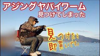 アジング前回坊主だったのでこのワーム使いました。皆さんこれお勧めですよ！