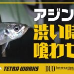 【アジング】超絶タフなショアアジングに挑戦！【フィッシングトリップ】