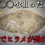 サーフからルアーでヒラメ釣り！釣れる場所のヒントは足元に…