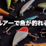 魚にとってルアーとは何か。なぜルアーで釣れるのか