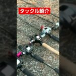 プチ鳶のタックル紹介 ビッグベイト