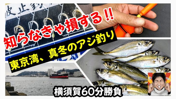 【サビキ釣り】これを知らなきゃ損します‼陸っぱりアジ釣りは●●がキモ!!厳寒期の東京湾でアジを釣ります!!