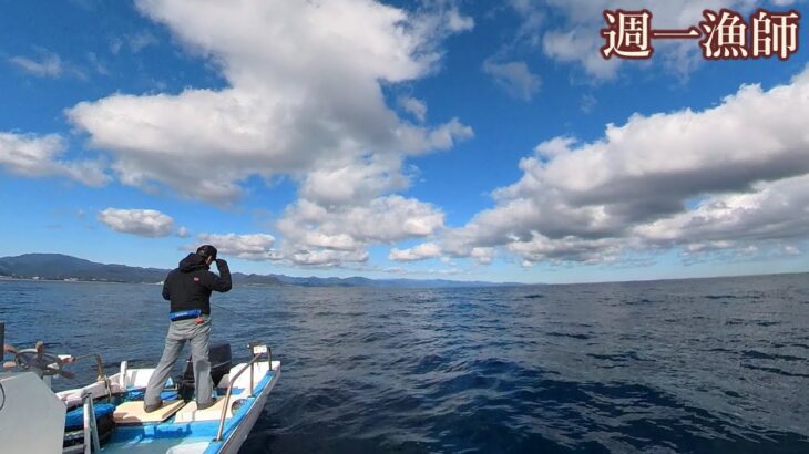 冬なのにたくさんの魚が釣れる楽しすぎる海へ！（白甘鯛より高値がついたのはあの魚…）