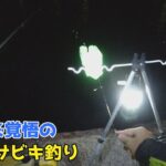 ボウズ覚悟の真冬のサビキ釣り