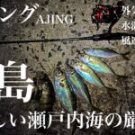 【アジング】広島でアジング。低水温の一月でもなんとか釣れました。