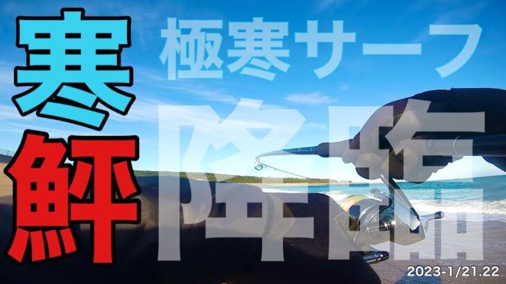 【サーフヒラメ】鼻水凍る極寒サーフで寒鮃降臨