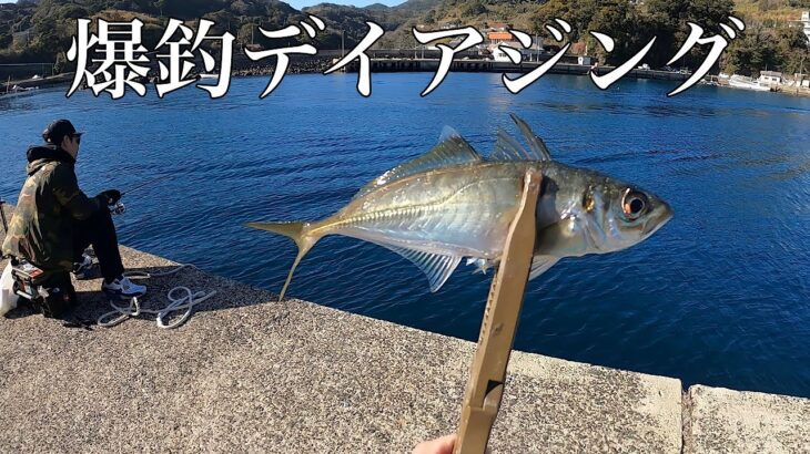 昼間っからアジが入れ食いになる夢の島。