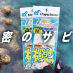 どんな仕掛けもサビキに変身！これは新しい釣りの予感だぞ・・・！