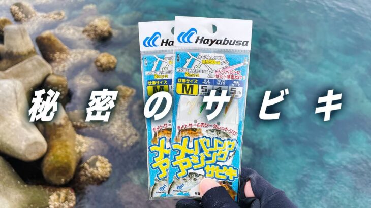 どんな仕掛けもサビキに変身！これは新しい釣りの予感だぞ・・・！