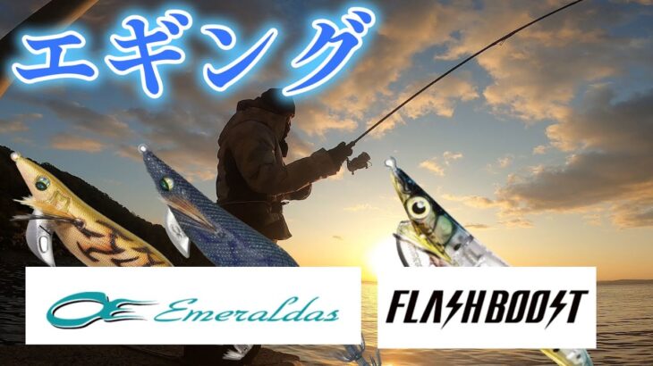 【エギング】極寒の中でも釣れるエギはこれだった！