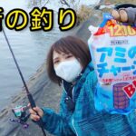 真冬の激シブ川でもサビキ釣りなら釣れるハズ…！【遠賀川】