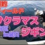 【羅臼 サクラマスジギング】誰もが爆釣出来る?! 夢のフィールドでジギング!! 【北海道 羅臼 希海丸】