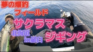 【羅臼 サクラマスジギング】誰もが爆釣出来る?! 夢のフィールドでジギング!! 【北海道 羅臼 希海丸】