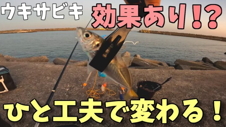 アジの釣果があることをするだけで伸びる方法があります【那珂湊】