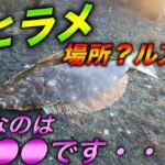 【ヒラメ釣り】冬のヒラメは場所？ルアー？大切なのは●●・・・