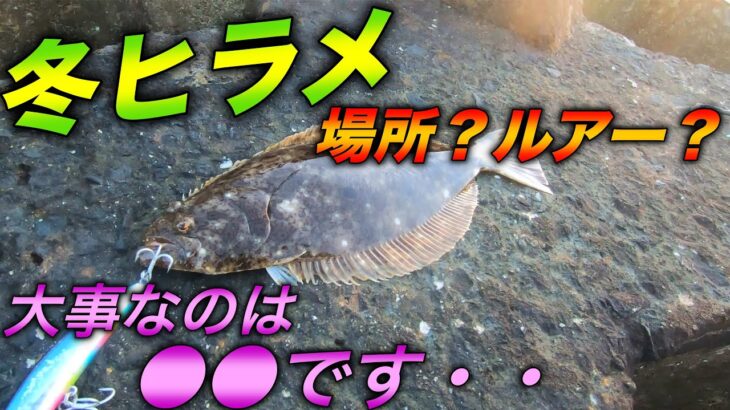 【ヒラメ釣り】冬のヒラメは場所？ルアー？大切なのは●●・・・