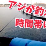 アジが簡単に釣れ始める時間帯とは？調べてきました【釣りのヒント】