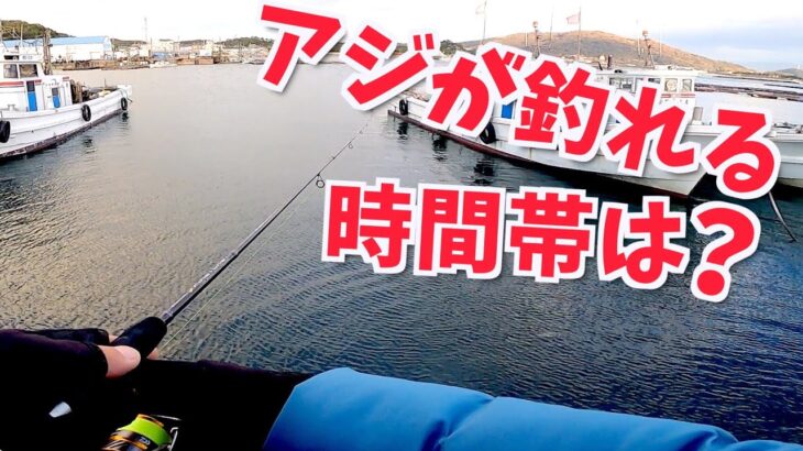 アジが簡単に釣れ始める時間帯とは？調べてきました【釣りのヒント】