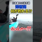 琵琶湖で釣りしたら何が釣れる？