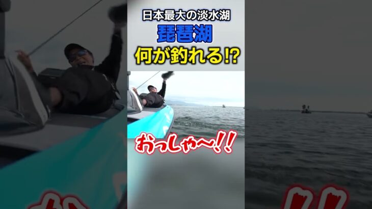 琵琶湖で釣りしたら何が釣れる？