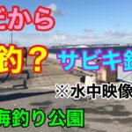 碧南海釣り公園 冬だから爆釣？なサビキ釣り 水中映像あり 碧南釣り広場