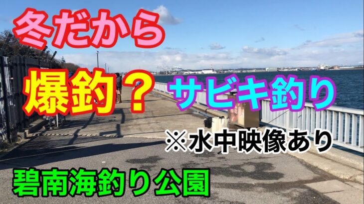 碧南海釣り公園 冬だから爆釣？なサビキ釣り 水中映像あり 碧南釣り広場