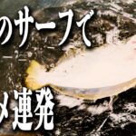 【ヒラメ釣り】ヒラメが釣れるルアーはやはりコレなのか！？サーフの寒鮃シーズン突入！【 サーフ 釣り 】