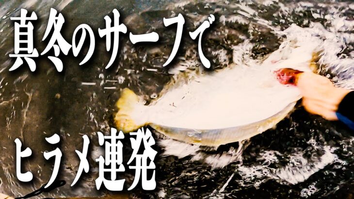 【ヒラメ釣り】ヒラメが釣れるルアーはやはりコレなのか！？サーフの寒鮃シーズン突入！【 サーフ 釣り 】