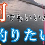 ポジティブフィッシング🎣#釣りガール #サビキ釣り #アウトドア #福井県