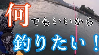 ポジティブフィッシング🎣#釣りガール #サビキ釣り #アウトドア #福井県