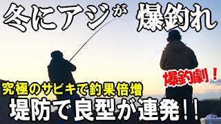 堤防サビキでアジが爆釣れるマズメの攻め方！冬でもアジが入れ食う【究極のサビキ】とカゴの使い分けで釣果倍増しました→アジパーティー