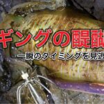 【エギング】一瞬のタイミングで釣れます。これこそエギングの醍醐味