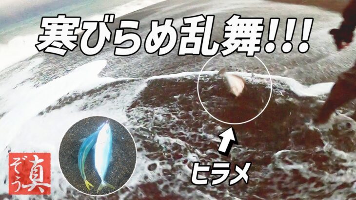 【ショアジギング】雪の日本海サーフでヒラメ・青物を狙う!!