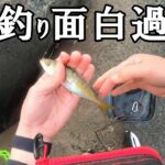 【泳がせ釣り】アオリイカ連続ヒット！この釣り面白過ぎ！