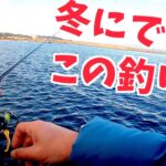 冬に大アジが釣れる漁港でデイアジングすると